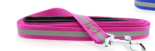 Basic Reflective Dog Leash - Raspberry Pink