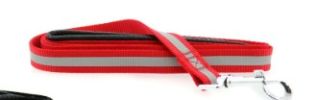 Basic Reflective Dog Leash - Red
