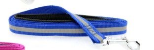 Basic Reflective Dog Leash - Cobalt Blue