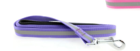 Basic Reflective Dog Leash - Paisley Purple