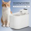 Water Fountain, Pet Water Fountain