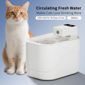 Water Fountain, Pet Water Fountain