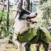 Dog Coats Waterproof, Warm Outfit Clothes Dog Jackets, Adjustable Drawstring Warm And Cozy Dog Sport Vest-(Green size L)