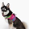 American River Choke Free Dog Harness Ombre Collection- Cotton Candy