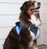 American River Choke Free Dog Harness Ombre Collection - Midnight Sky