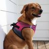 American River Choke Free Dog Harness Ombre Collection - Sunset Pink