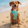 American River Choke Free Dog Harness Polka Dot Collection - Teal Polka Dot