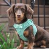 American River Choke Free Dog Harness Polka Dot Collection - Teal Polka Dot