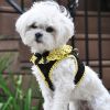 American River Choke Free Dog Harness Polka Dot Collection - Yellow and Black Polka Dot