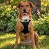 American River Choke Free Dog Harness Polka Dot Collection - Yellow and Black Polka Dot