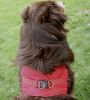 American River Solid Ultra Choke Free Dog Harness - Red