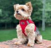 American River Solid Ultra Choke Free Dog Harness - Red