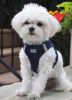 American River Solid Ultra Choke Free Dog Harness - Navy
