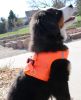 American River Solid Ultra Choke Free Dog Harness - Hunter Orange