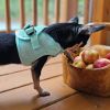 American River Solid Ultra Choke Free Dog Harness - Teal